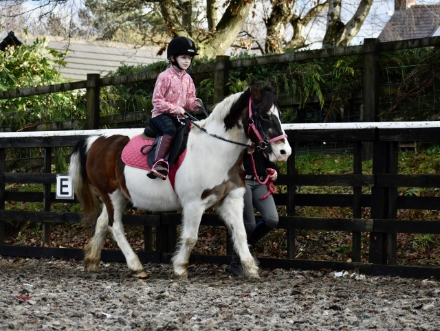  Reitzentrum in Flintshire 