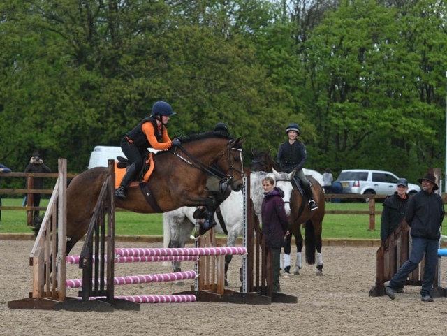  Reiten in allen Disziplinen