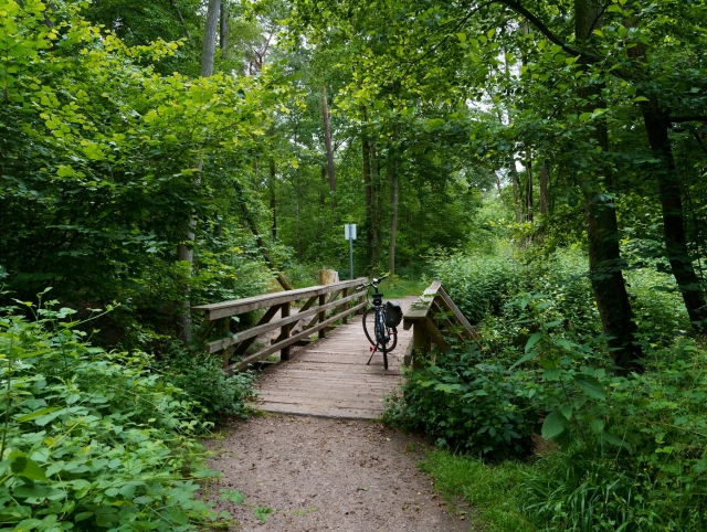  Percorsi ciclabili