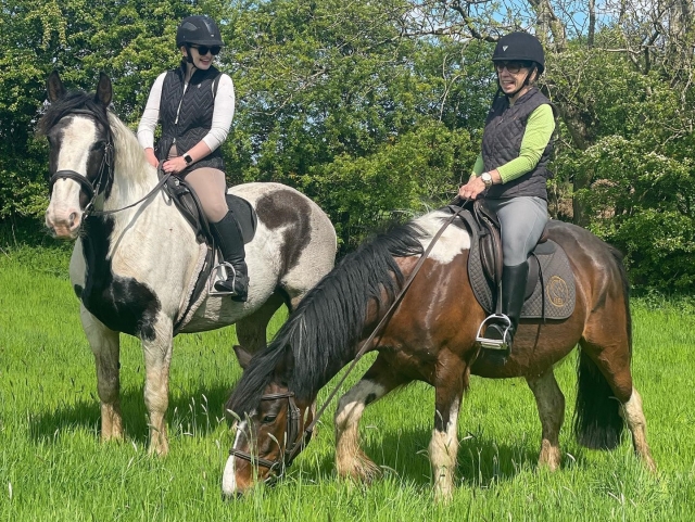  Pasos y vacaciones de día a caballo 