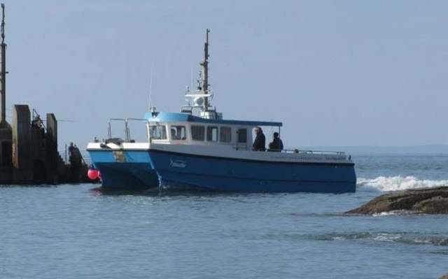 The Bluefin