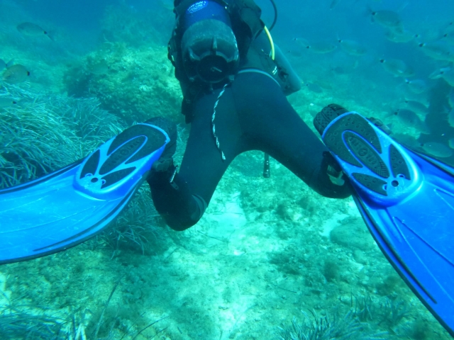  Goditi il tuo aggiornamento sulle immersioni 