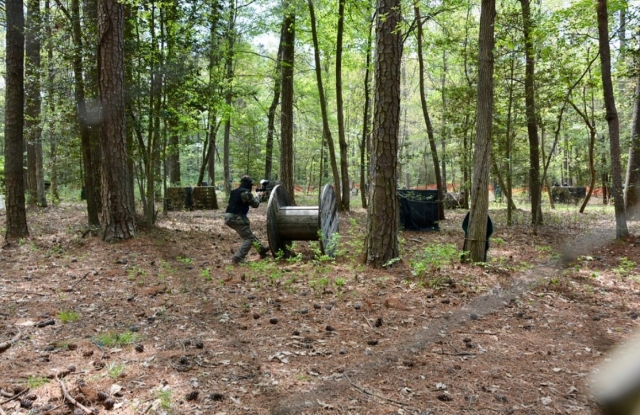  Dans les bois, nous allons 