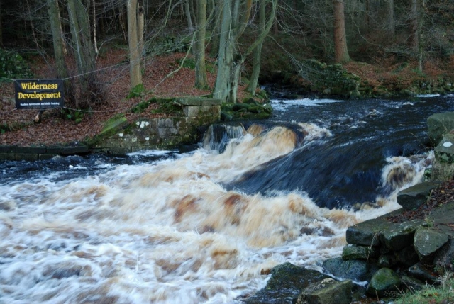 Whitewater kayaking
