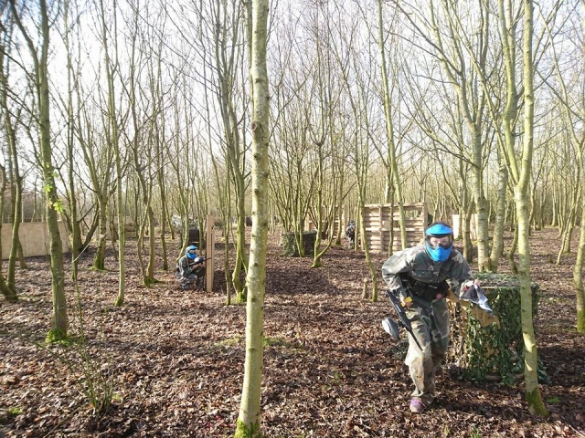 Woodland game zone