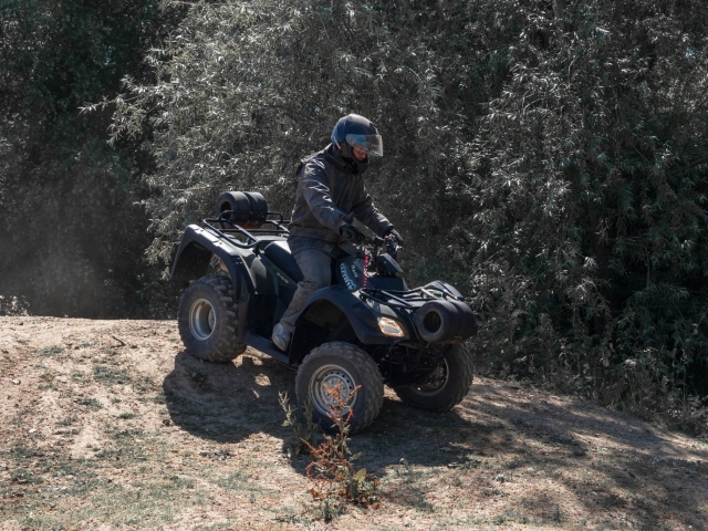 A day with our quads