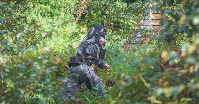 Verstecken Sie sich im Wald 