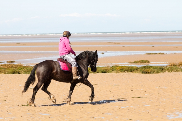  Aprenda a andar de cavalo