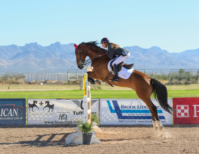 Un caballo a medio salto 