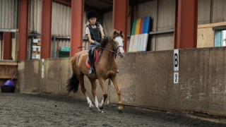 Clases de equitación para principiantes Niños Aldridge 30 min