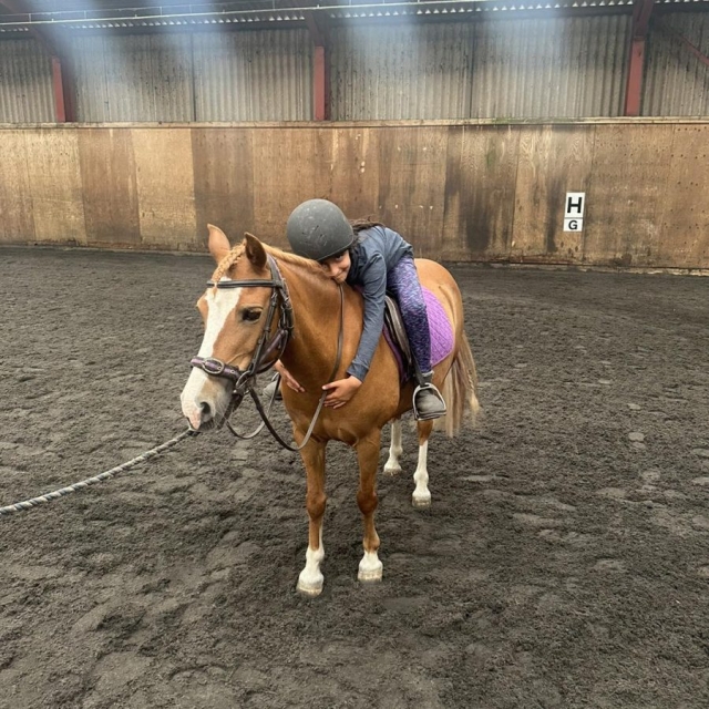 Actividades navideñas  Actividades navideñas