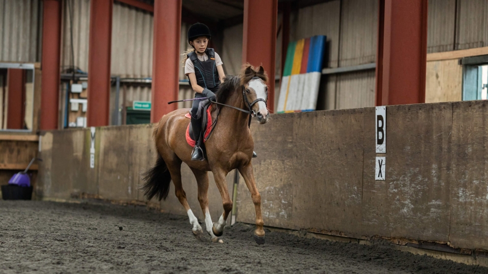 Actividades con ponis Bournevale  Actividades con ponis Bournevale