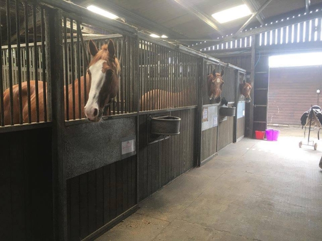  Happy Stables 