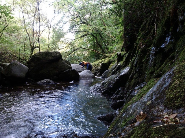 Gorge Walking