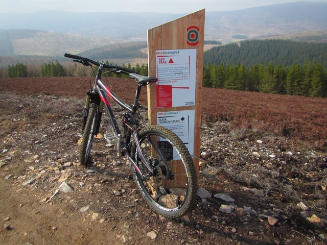 Parking bikes