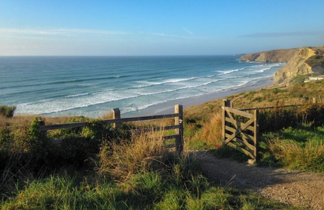  Venez surfer sur les vagues 