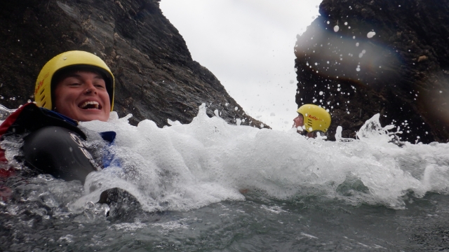 COASEIRA EM SALCOMBE