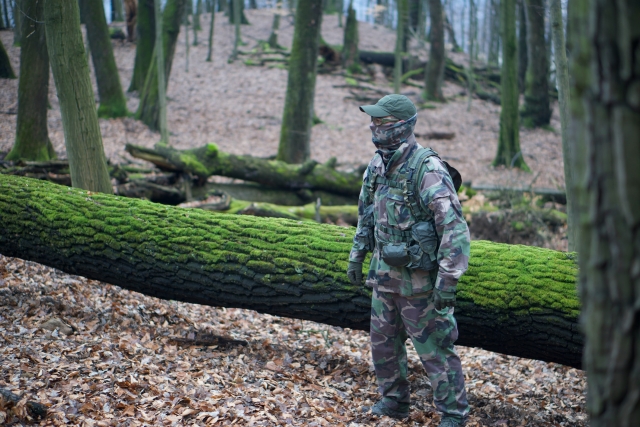 Trek in the forest