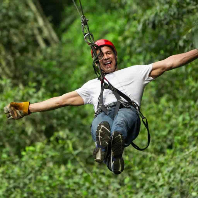 Sfrecciando attraverso la foresta 