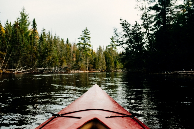 Kayak Views