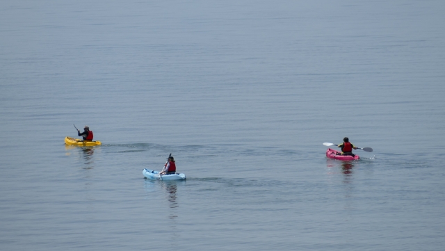 Remar en grupo 