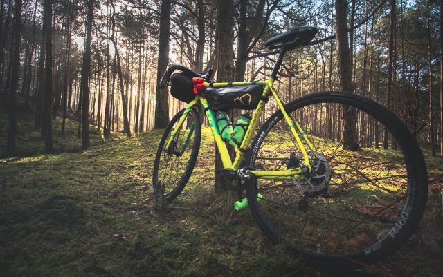 Forest Biking