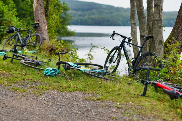 Many of our Bikes