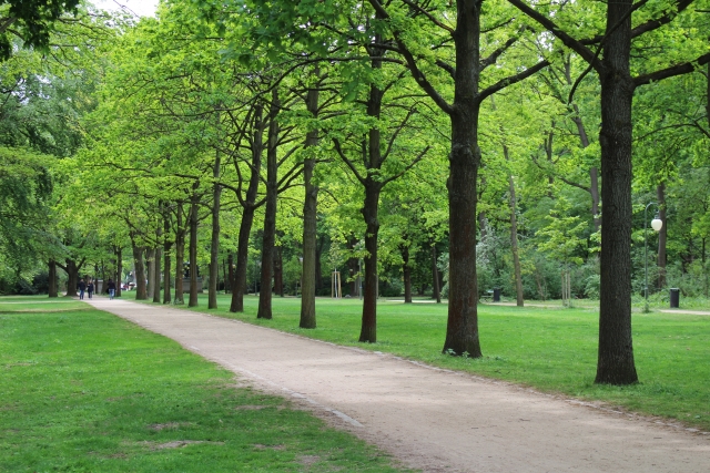  Vistas al parque 
