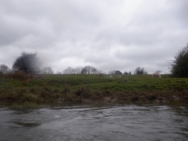  Heimische Tierwelt 