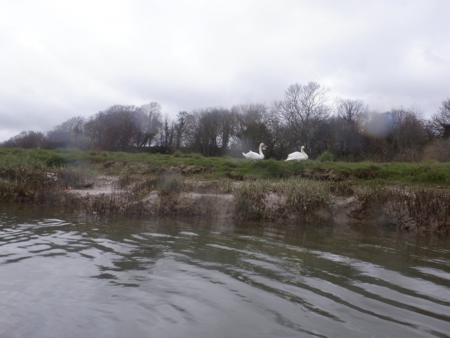  Heimische Tierwelt