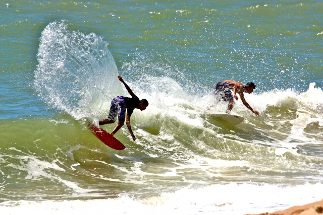  Copains de surf 