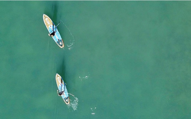Paddleboarding in South Devon