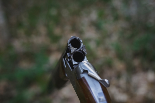 Clay Pigeon Sessão em Sibbersoft 