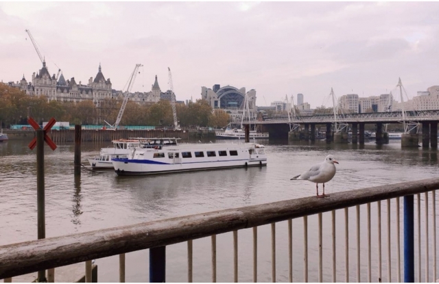  Paseos en barco por Londres 