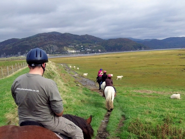 ride a horse with us