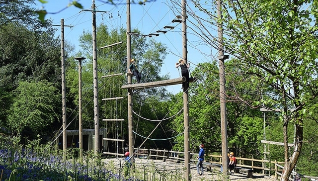  Viele Herausforderungen im Hochseilgarten