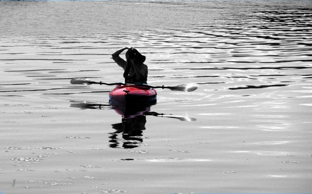Location de kayak à The River Hamble 