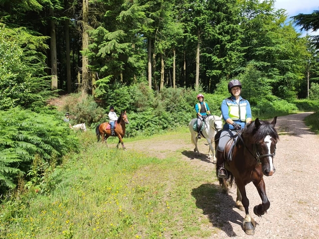  Reitstunden in Devon 
