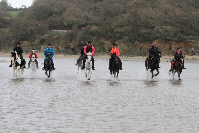Horse Riding is so much fun