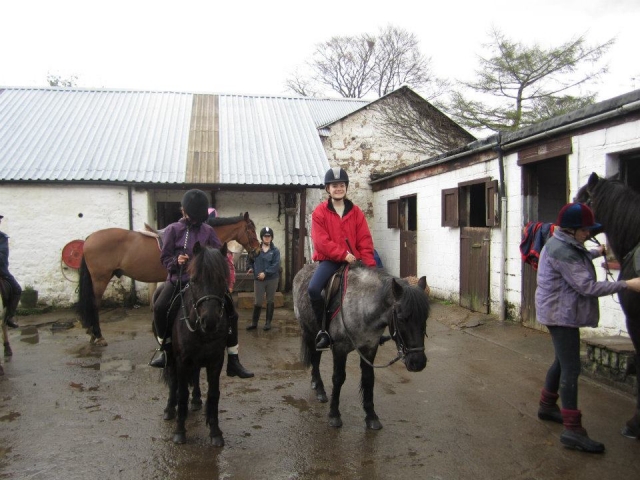  Diviértete con un paseo a caballo 