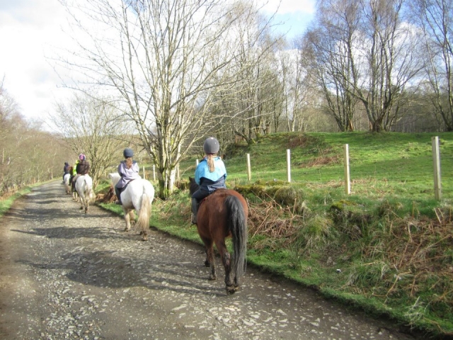  paseos a caballo en Glasgow 