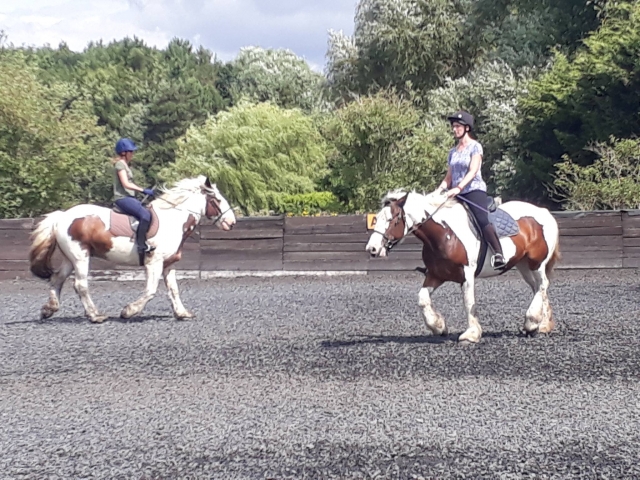  Équitation pour débutants 