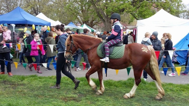  Sesiones de salida a caballo para niños 
