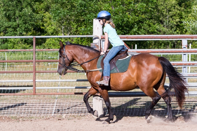  Reiten in Hambrook 