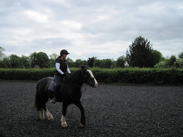  Imparare a cavalcare un cavallo 