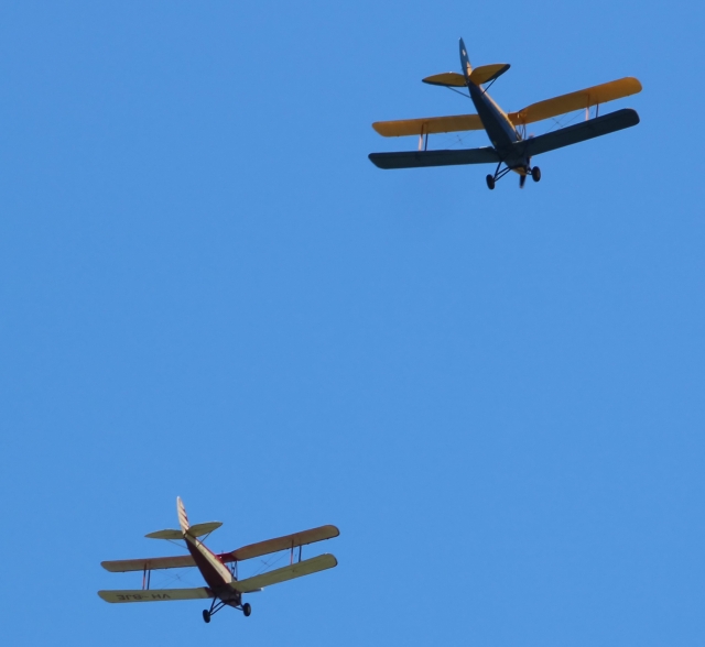 Tiger Moth aircraft