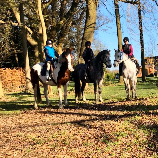 Équitation à Little Gaddesden 