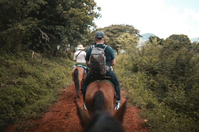Group hack in nature