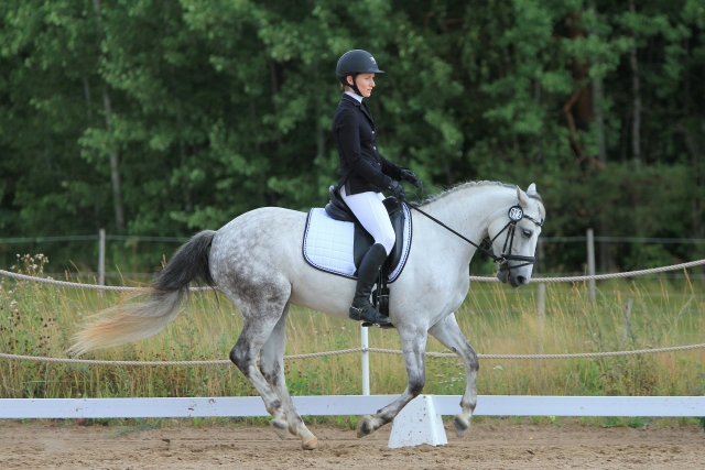 Warming a horse up before a hack