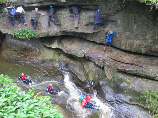 Have a group activity